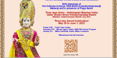 Raleigh Mandir - 8th Patotsav